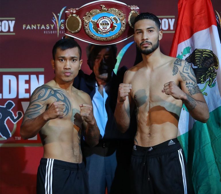 Garcia-trained Gamez faces Feliciano in a clash of unbeaten fighters